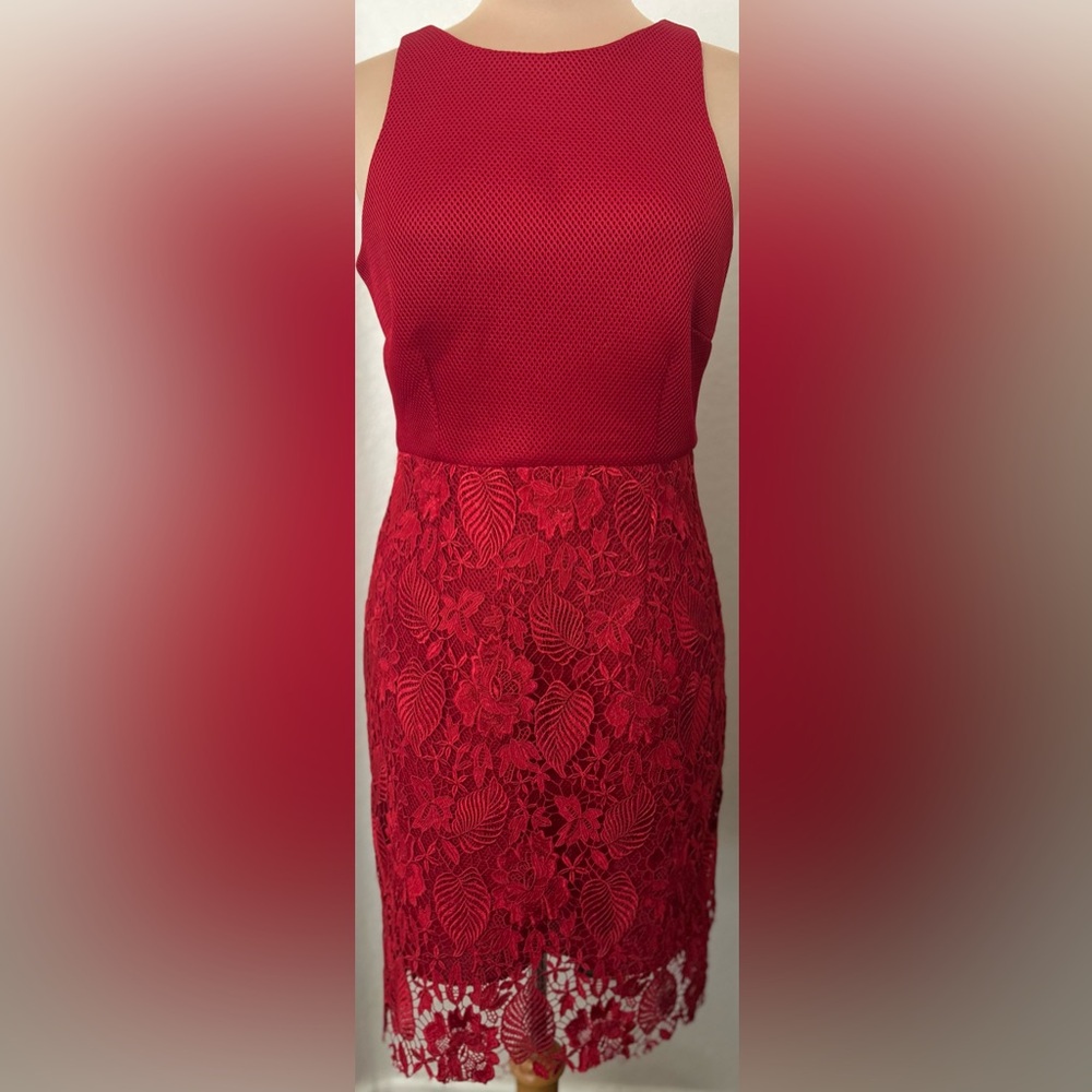 Issue New York Scarlet Elegance Dress